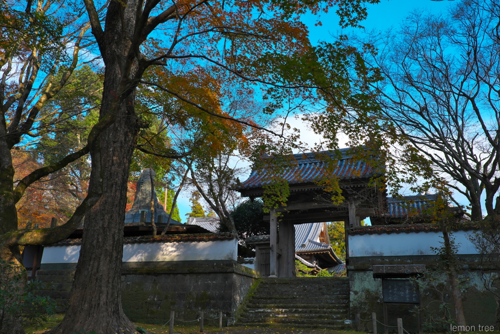 冬の予感