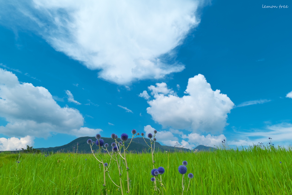 高原の空