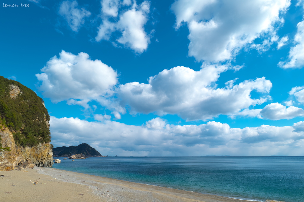 海を見つめた午前