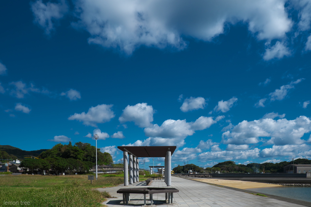 under the blue sky