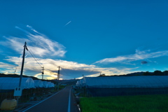 飛行機雲