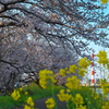 Spring has come
