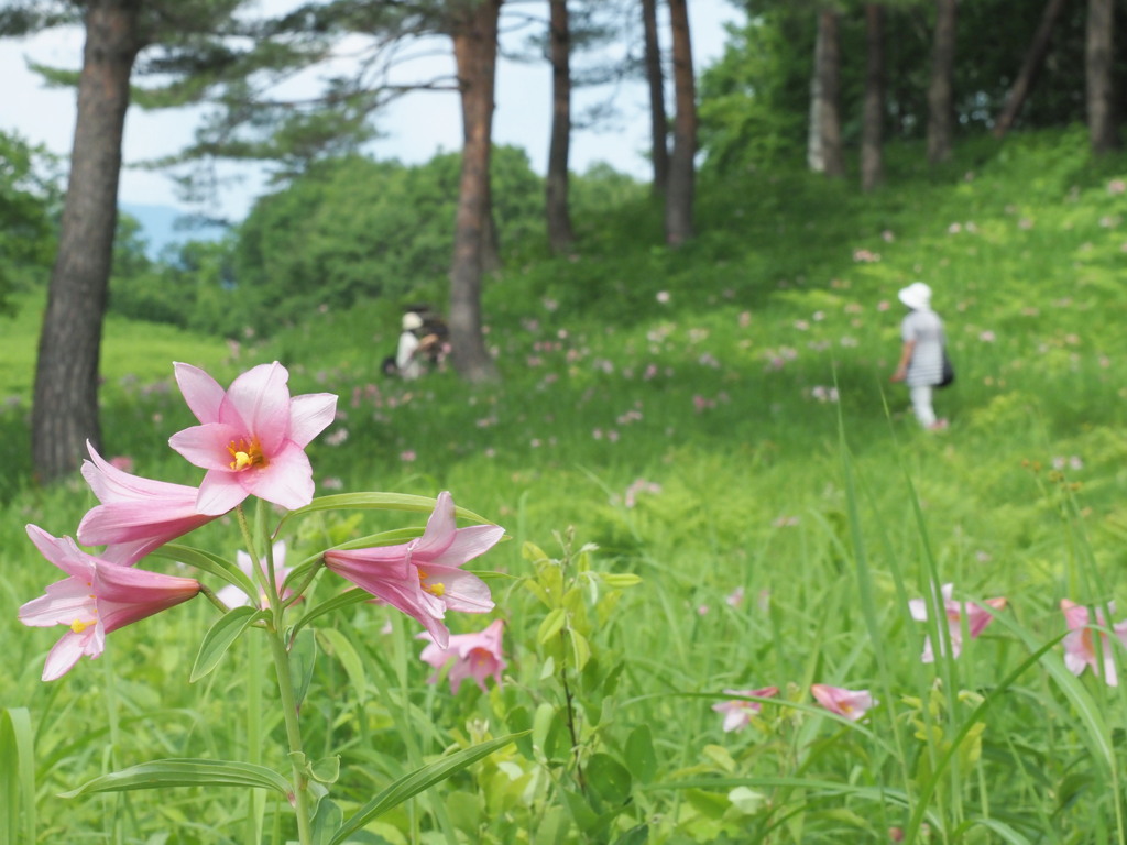 高清水自然公園