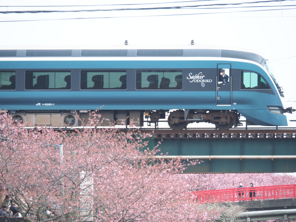 踊り子号
