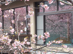 映り込み