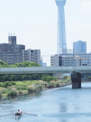 カヌーとスカイツリー