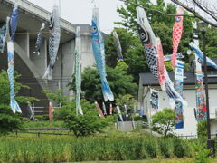 こいのぼり
