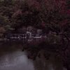 日本庭園