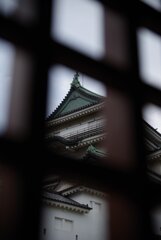檻の中からお城
