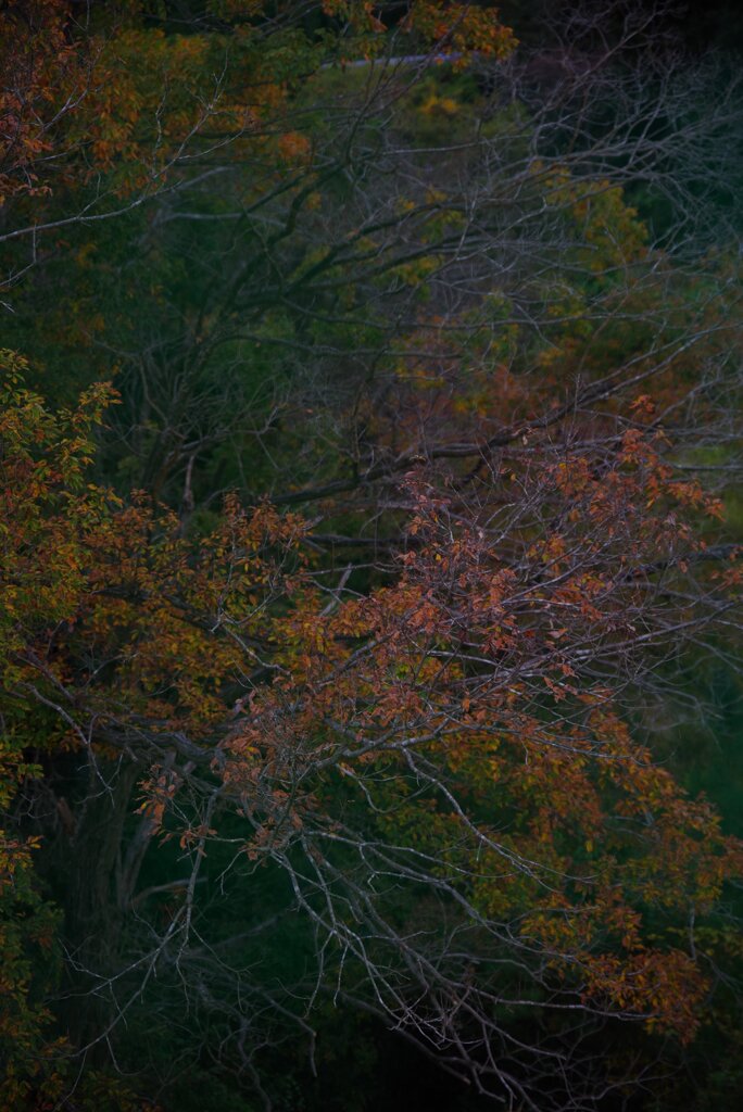 IMG_20201207_031718