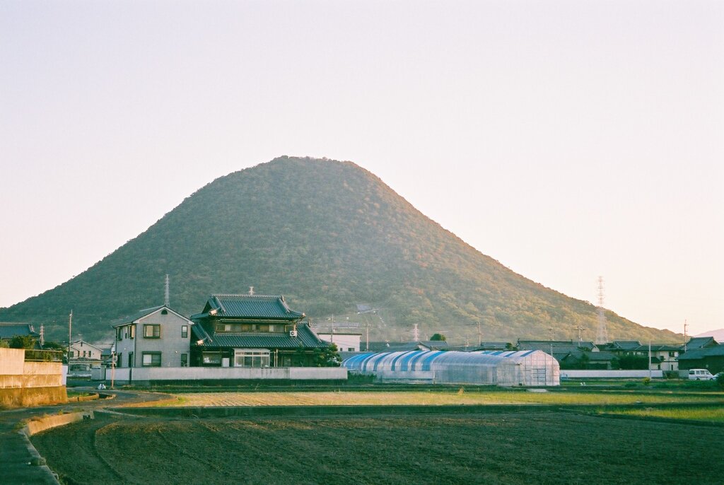 田舎の山