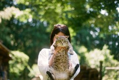 film・泣きたい私は猫をかぶる*