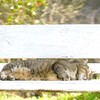 春のベンチで*