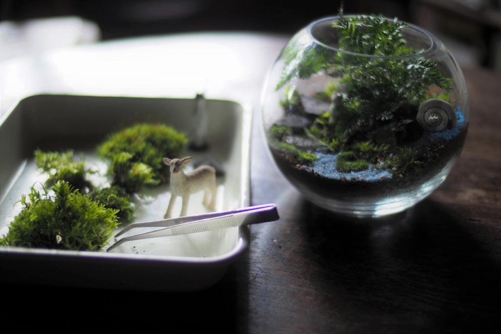 Terrarium*