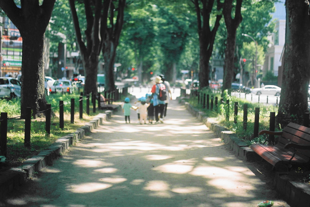 film・杜の詩*