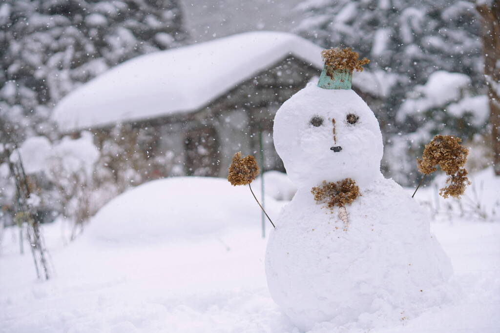 Snowman*