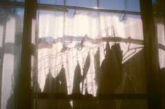 film・そよぐ幸せ*