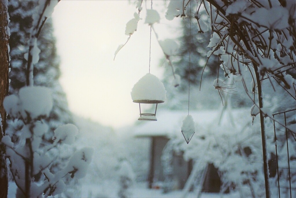 film・Snow*