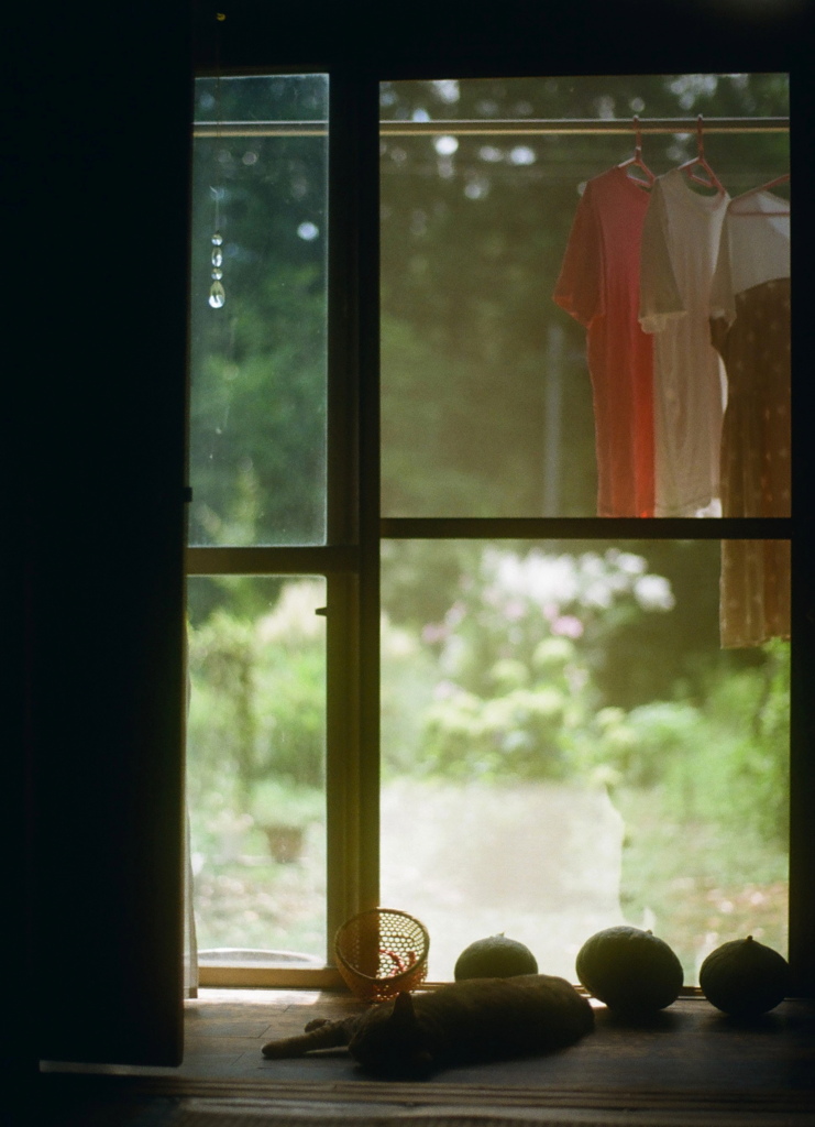 film・みんな干す*
