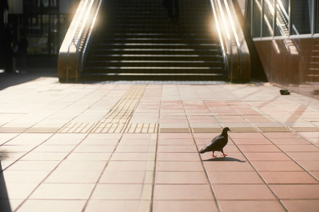 film・待ち合わせバト*