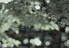 Bubbles*