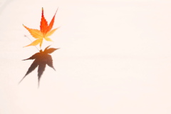 くれなゐの 夢か現か*