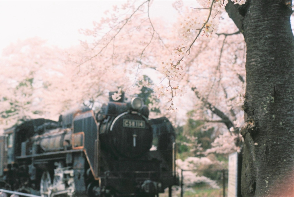 film・and Steam Locomotive*