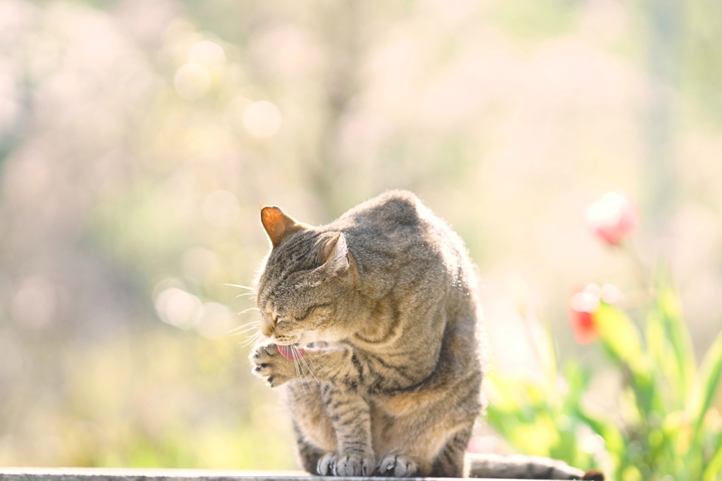 心ほどく*