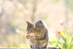 心ほどく*
