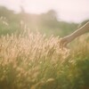film・風をあつめて*