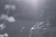 film・晩夏*