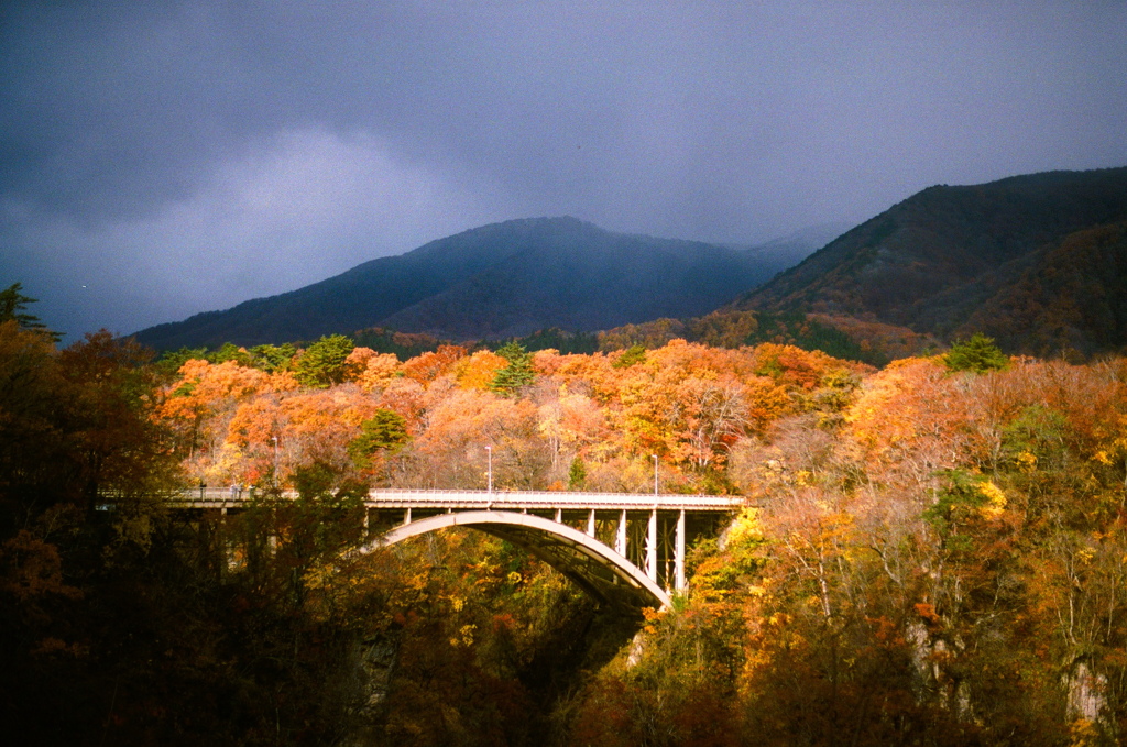 film・久しぶりに♨️へ*