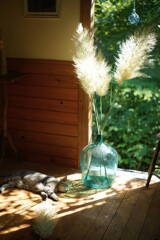 Pampas grass*