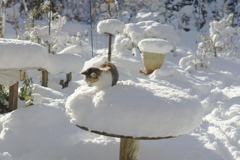 雪風呂❆☃︎*