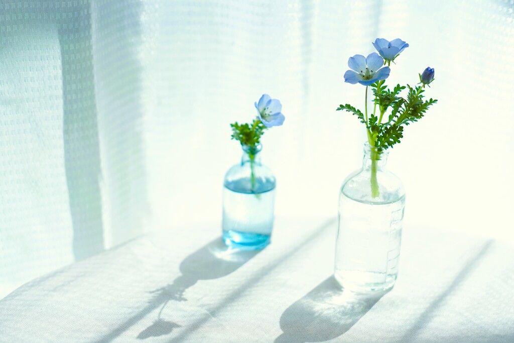 BLUE SOULS ・spring*