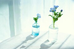 BLUE SOULS ・spring*