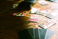 film・花見で一杯*