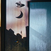 Crescent Moon*
