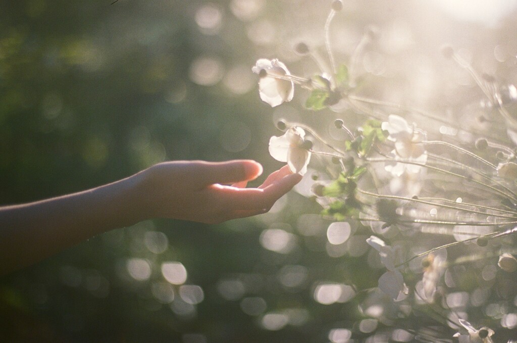 film・愛はスローにちょっとずつ*