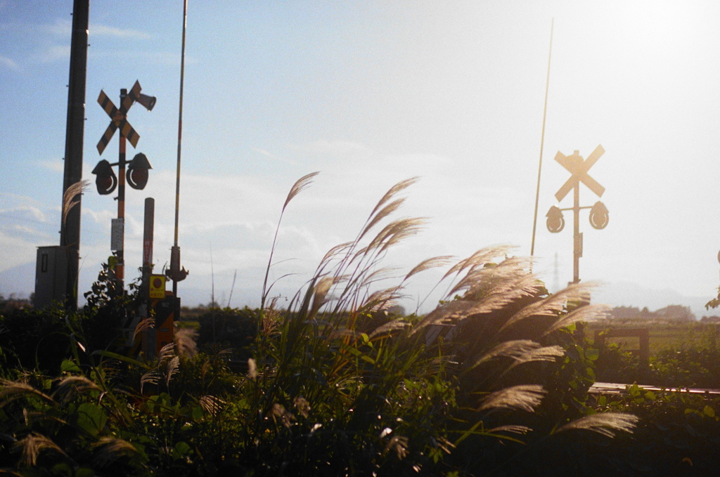 film・風に吹かれて*