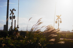 film・風に吹かれて*