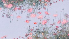 film・夢の中の空*