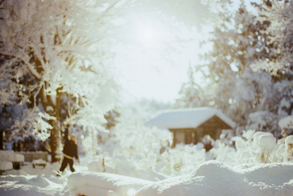 film・光のうた*