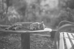 film・ひんやりと*