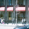 film・桜色を探して*