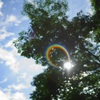 Long time since a blue sky!*