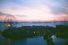 film・Good morning, Yokohama*