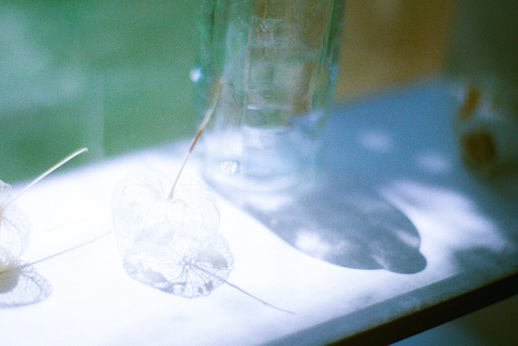 film・ヒカリの住処*