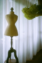 film・Dried flowers*