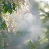 Spring music*